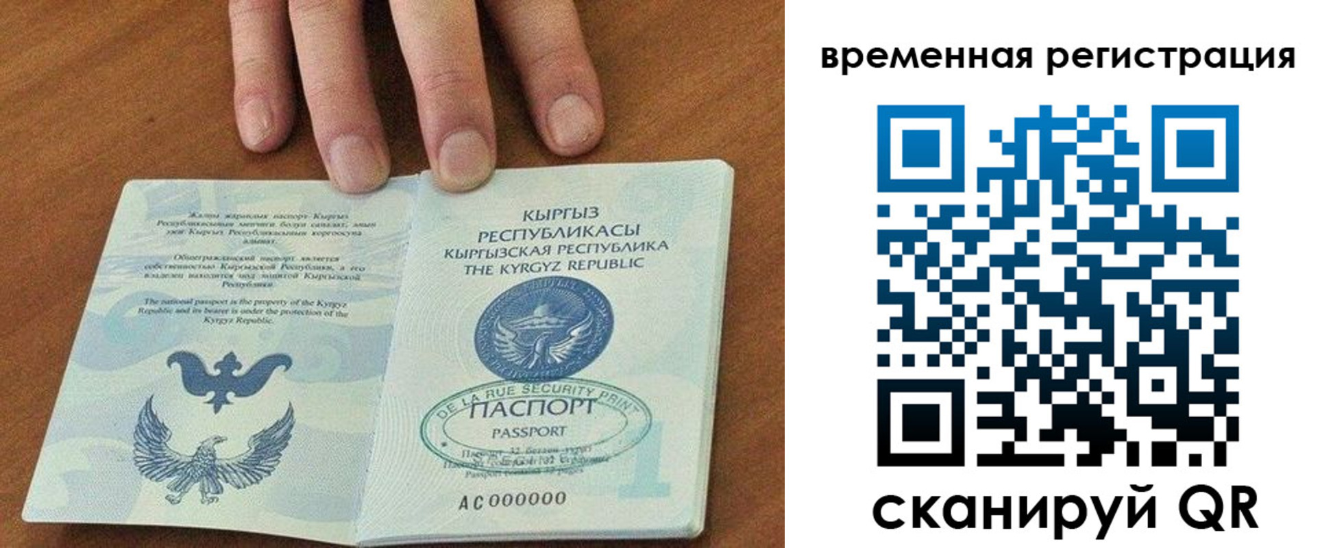 где прописаться в Дорогобуже